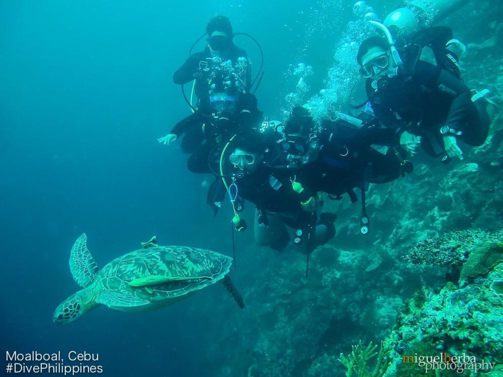 Asian Belgian Dive Resort 莫阿尔博阿 外观 照片